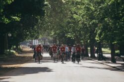 A long line of riders cycling along a tree-lined avenue through a park on the 2023 Parliamentary Bike Ride